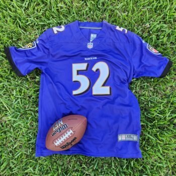 Nfl Baltimore Ravens Purple