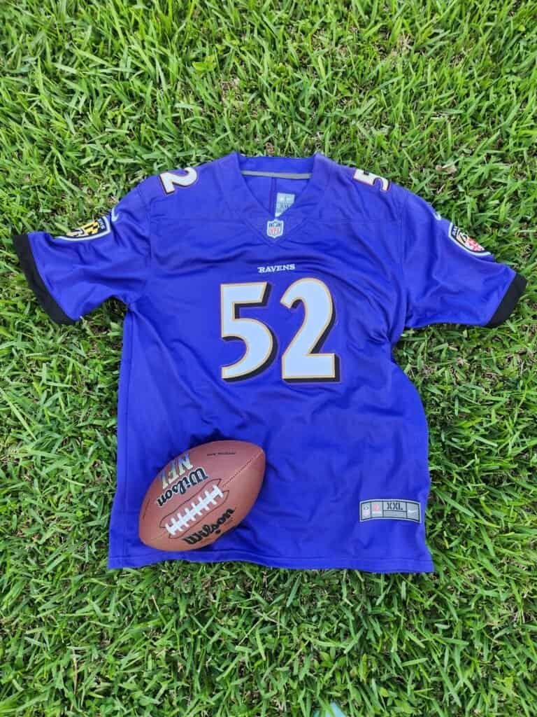 Nfl Baltimore Ravens Purple