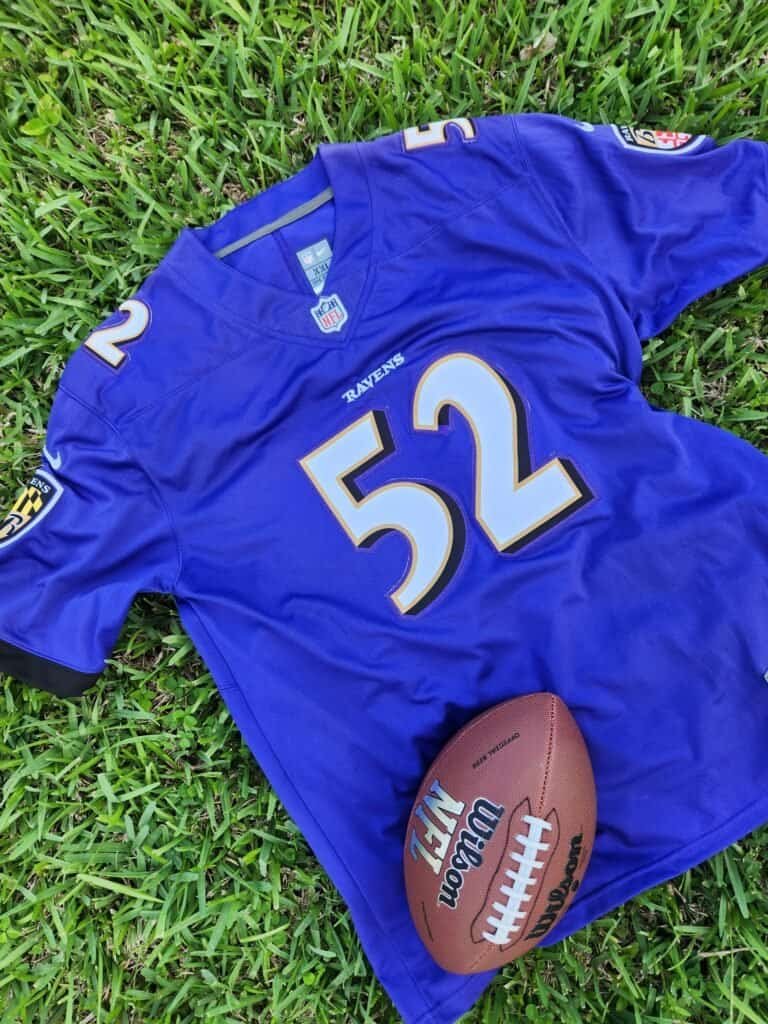 Nfl Baltimore Ravens Purple
