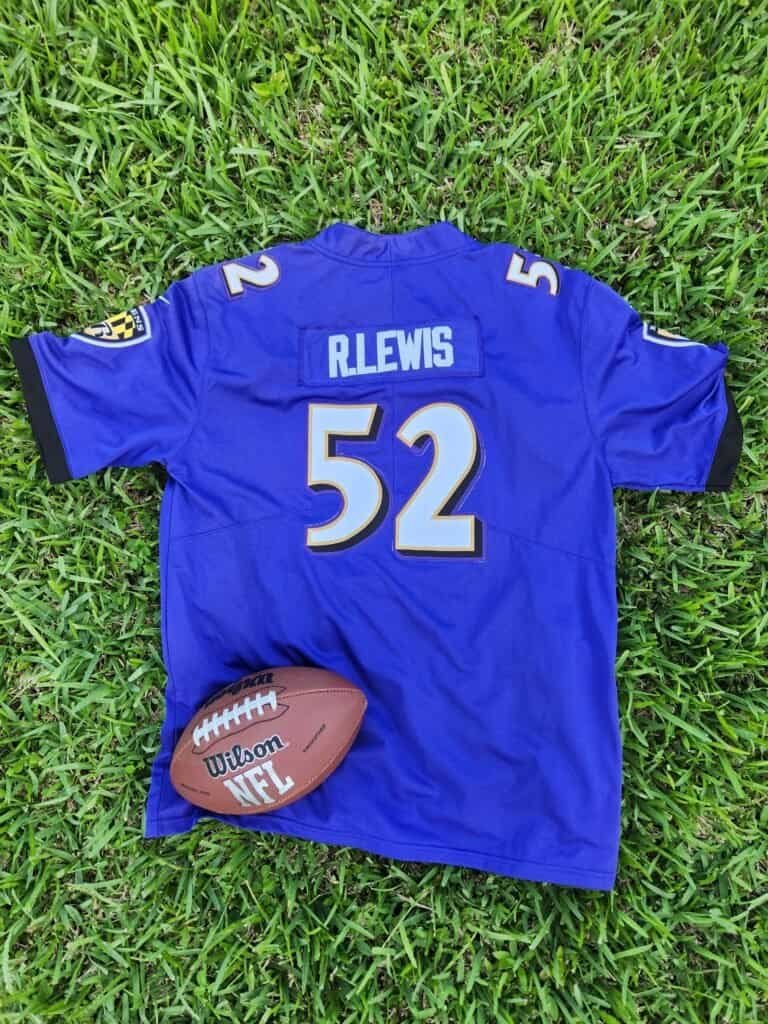 Nfl Baltimore Ravens Purple