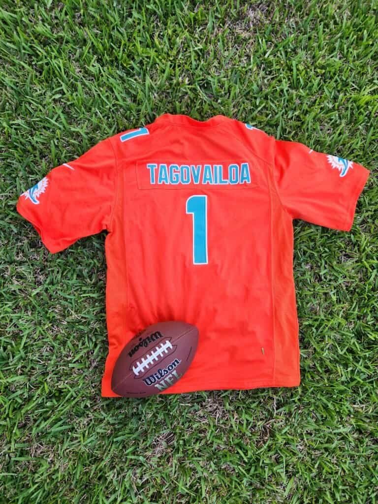 Nfl Miami Dolphins Orange