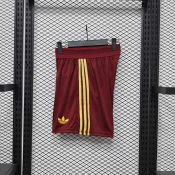 Player Version 26/27 Spain Away Maroon Shorts