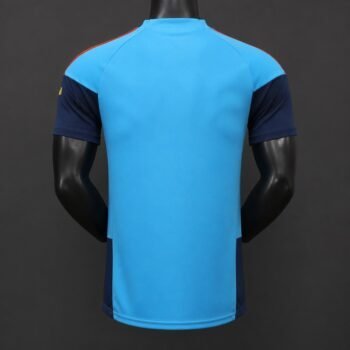 Player Version 26/27 Spain National Team Away Light Blue Jersey